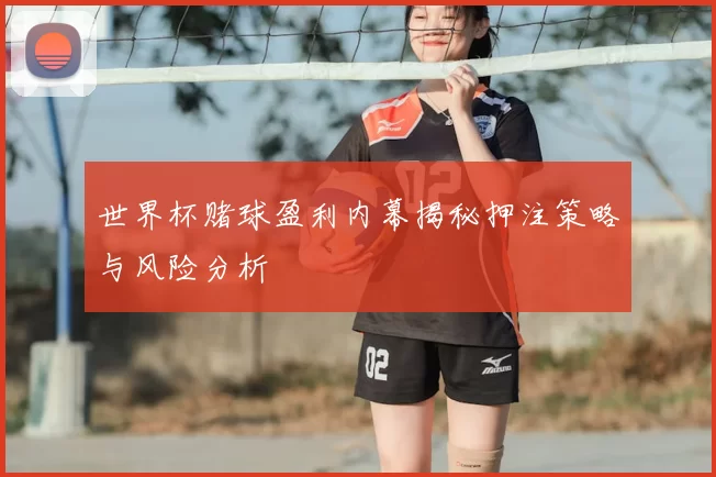 世界杯赌球盈利内幕揭秘押注策略与风险分析