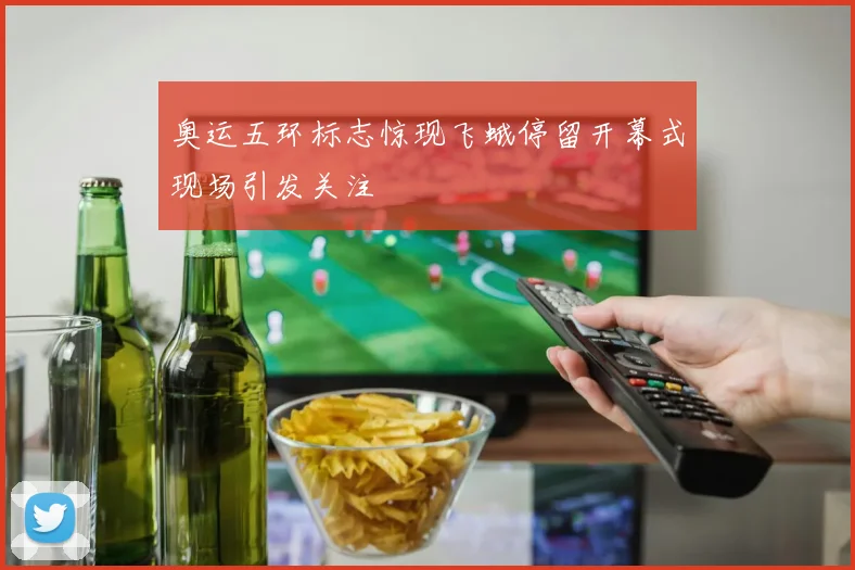 奥运五环标志惊现飞蛾停留开幕式现场引发关注