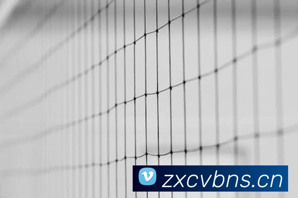 九游(NINE GAME)体育·官方网站 - 中国智慧体育科技领导者品牌故事