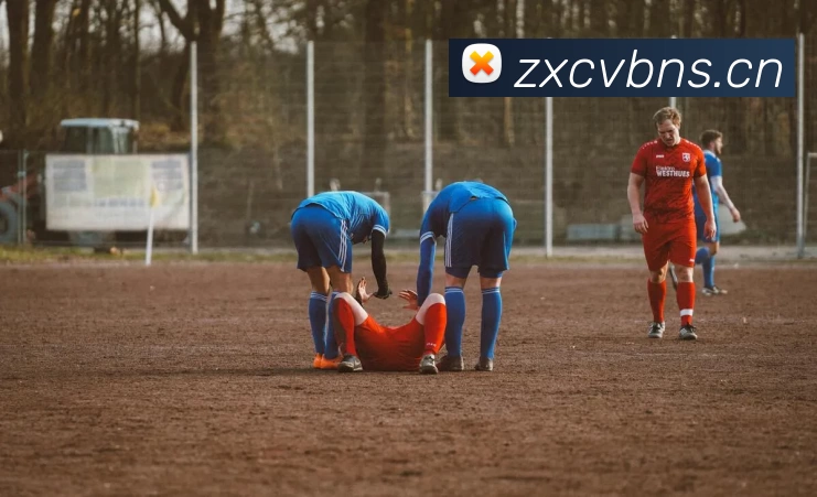 九游(NINE GAME)体育·官方网站 - 中国智慧体育科技领导者服务体系